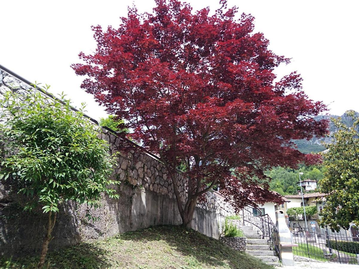 B&B L'Acero 카스토 외부 사진